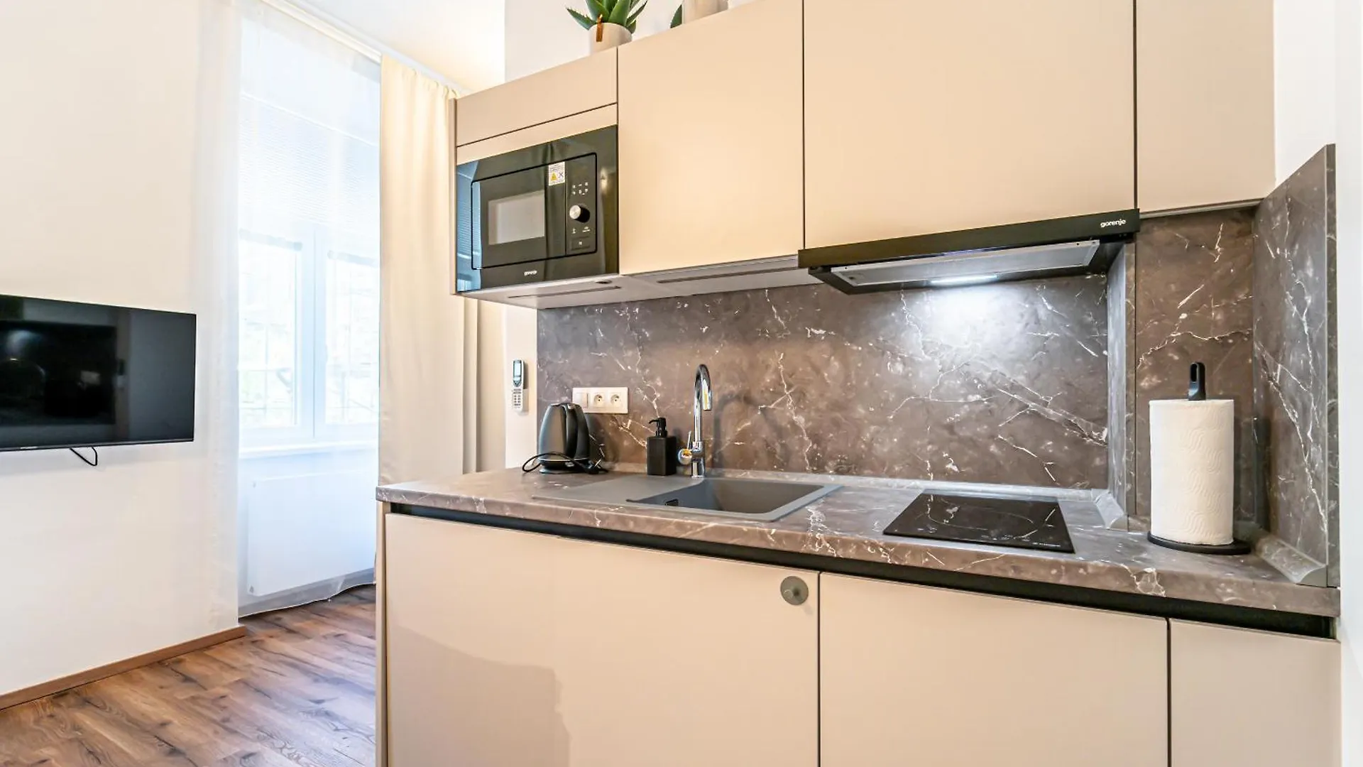 Design Apartments Luzanky Brno 0*,
